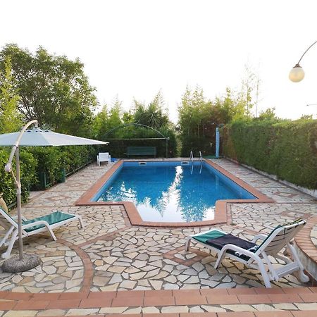 Cerseto 2 Bed and Breakfast Santa Domenica Talao Eksteriør billede